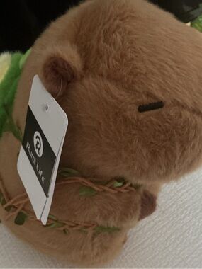 Cute capybara with avocado book bag and it’s very soft